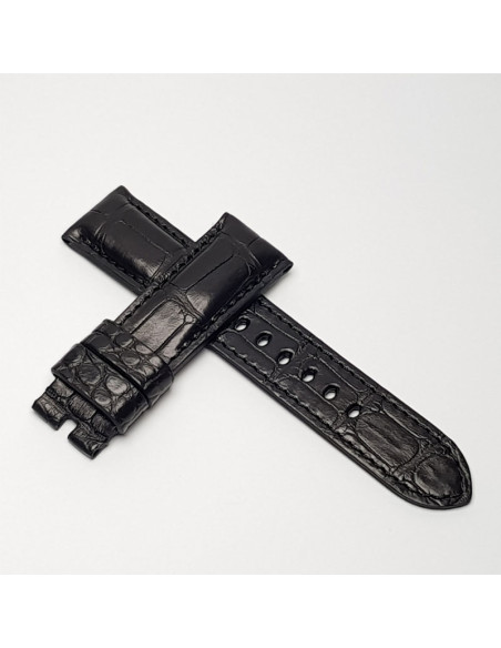 Alligator negro-Hilo Negro